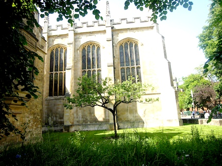 Photo credit: Julia Vitullo-Martin; Description: Descendant of Newton's apple tree, outside Trinity College, Cambridge Photo credit: Julia Vitullo-Martin; Description: Descendant of Newton's apple tree, outside Trinity College, Cambridge